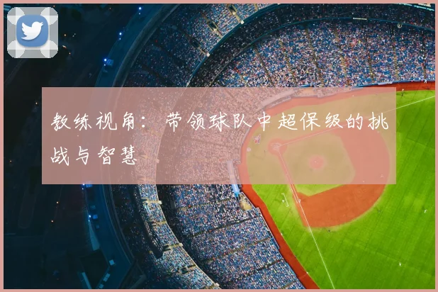 教练视角:带领球队中超保级的挑战与智慧